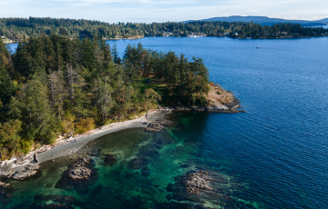 Saanich Peninsula volunteer opportunities
